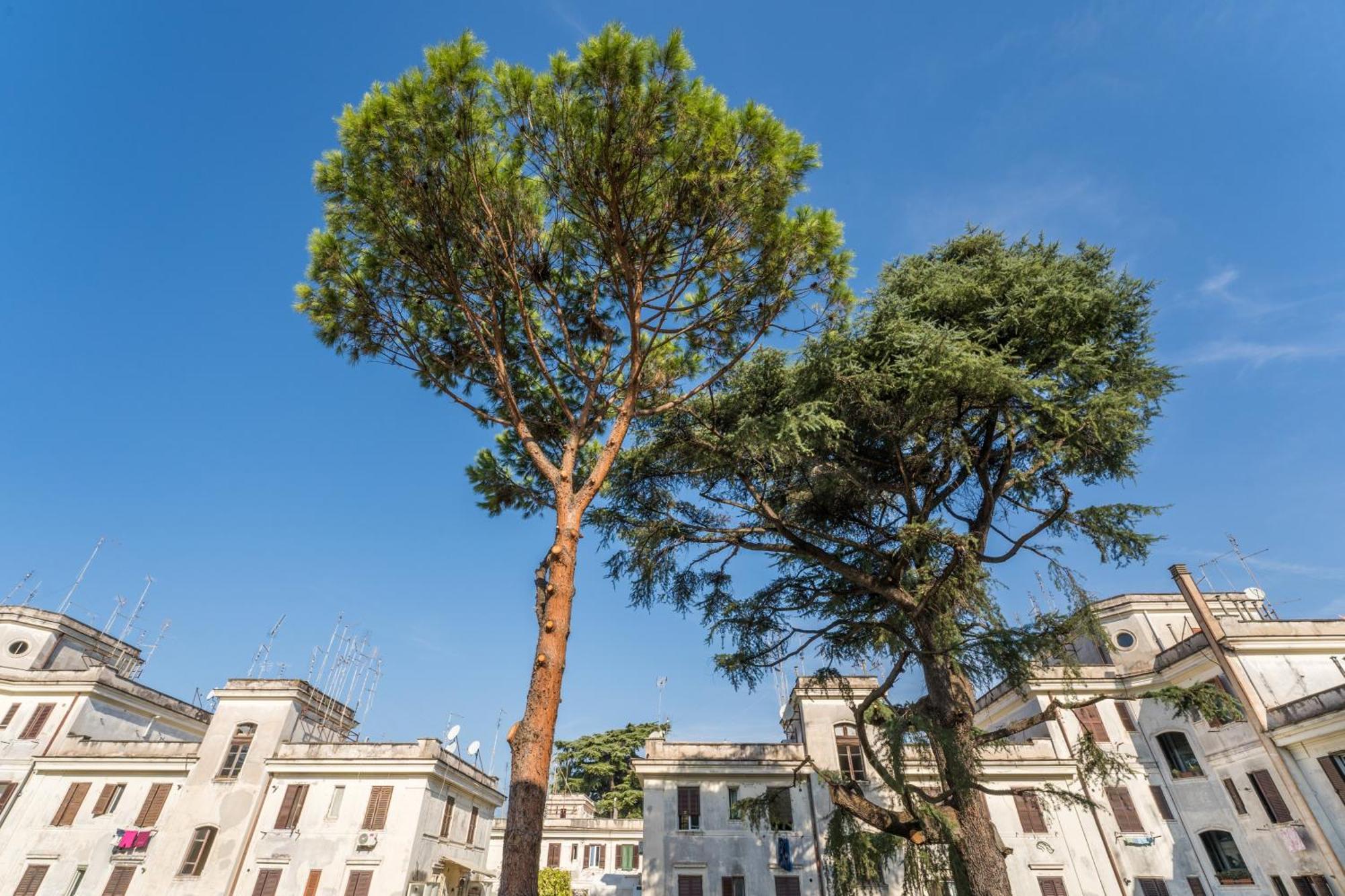 Fisher'S Apartment In Testaccio Roma Dış mekan fotoğraf